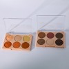 Rich Colors Matte Shimmer 6C Eye Shadow Palette