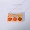 Rich Colors Matte Shimmer 6C Eye Shadow Palette